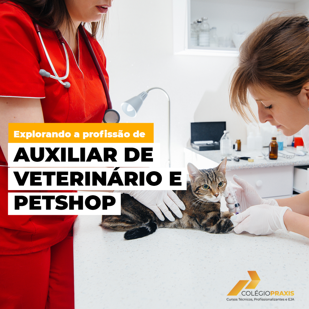 Explorando a profissão de auxiliar de