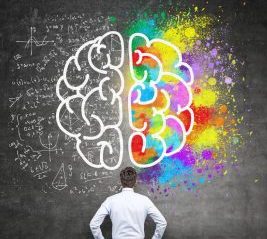 Inteligência Emocional (EaD)
